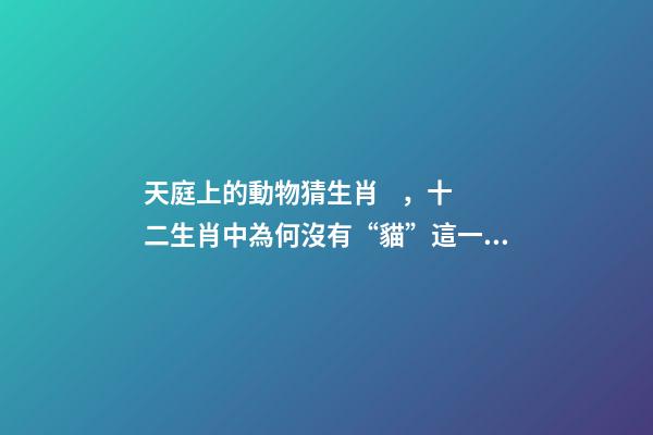 天庭上的動物猜生肖，十二生肖中為何沒有“貓”這一屬相